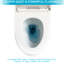 Toilette en céramique moderne - double chasse, siège à fermeture douce, chasse d'eau silencieuse stable à une pièce, siège confortable
