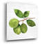  «Citrus Garden 2 Shiplap» par Kathleen Parr, art mural en verre acrylique, 36 po x 36 po-1580038624