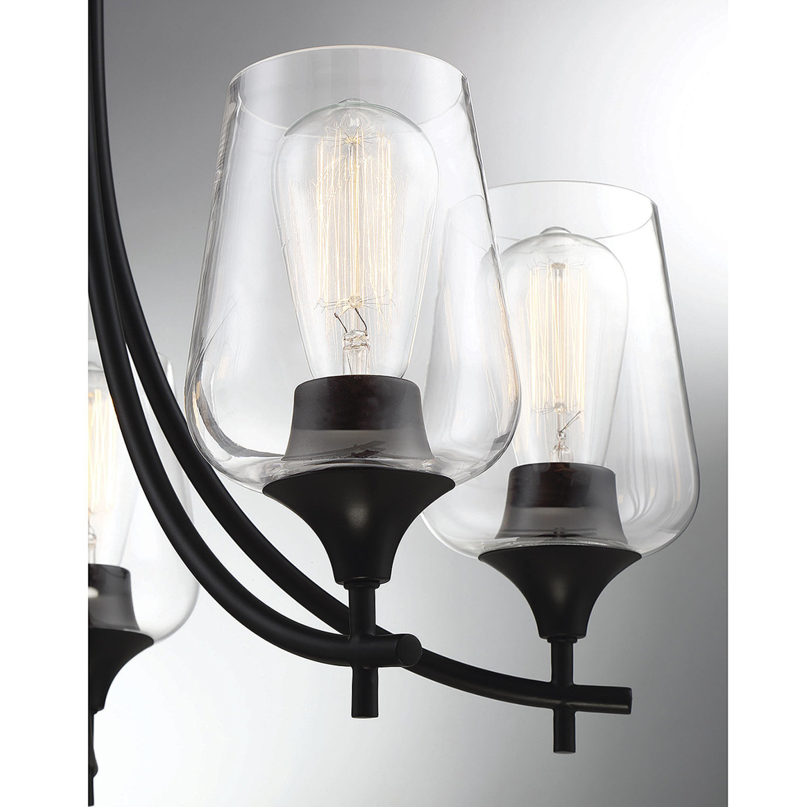 Breena 5-Light Chandelier, Matte Black, Clear