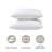 Back to College Kit, Twin xl Bed in a Bag With College Essentials-116384775