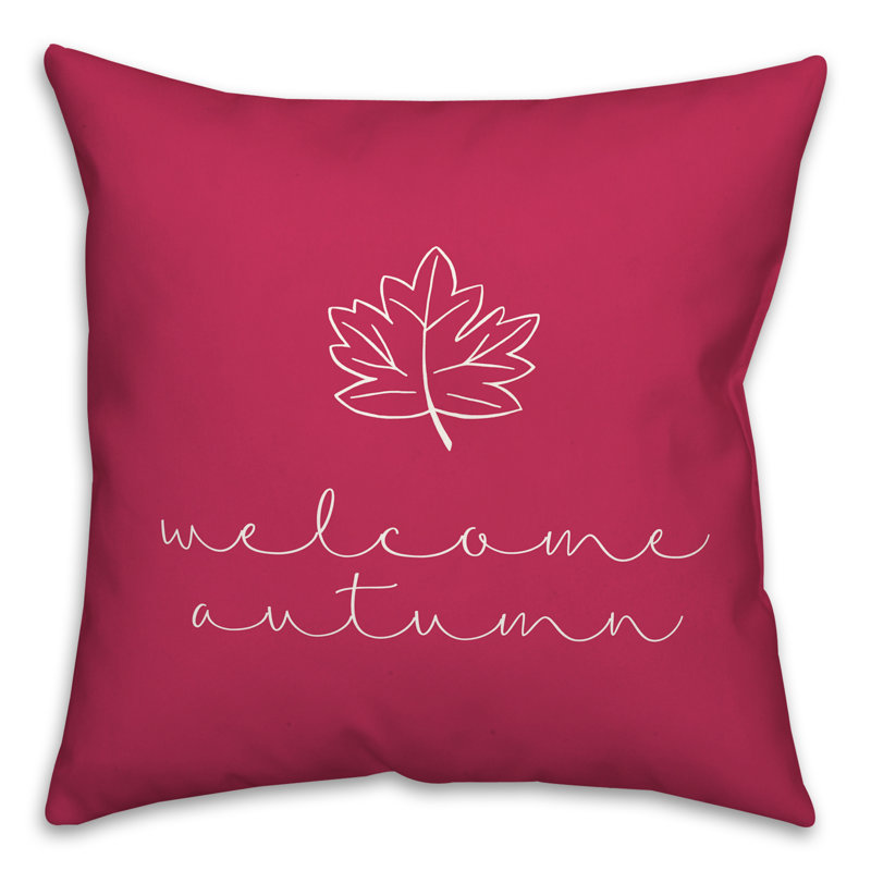  Housse de coussin carré et insert