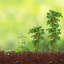 Plant Support