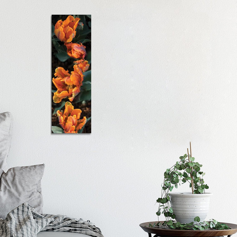 Close-up Of Parrot Tulip Flowers by Panoramic Images - Wrapped Canvas Panoramic Gallery-Wrapped Canvas Giclée