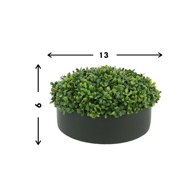Boxwood 6" Artificial in Fiberstone Planter