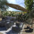Ethel 132'' Market Umbrella-440688649-440688651