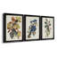 Pl 107 Canada Jay - ensemble de multiples reproductions d'art sur toile encadrées-1240465890-1240465889