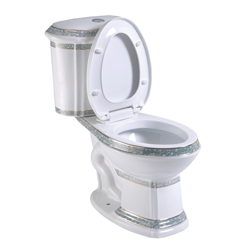 Toilette allongée monopièce à double chasse deux pièces (siège inclus)