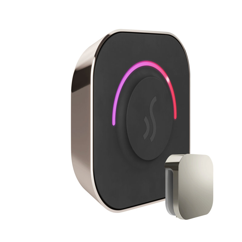 Tempotouch steam shower control and steamhead , Polished Nickel