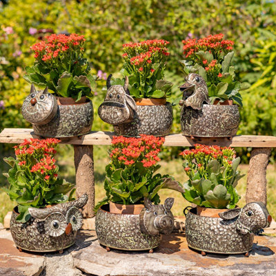Ensemble de 6 pots de fleurs galvanisés assortis