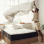 Édredon 100% canadien en duvet de couette Lincoln - toutes saisons, boucles d'angle, densité de tissage 600-111077270
