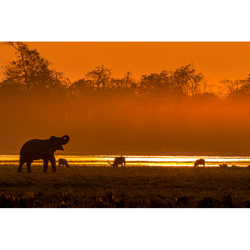 Baldric Sunset In The Wild by Nilesh Shah - Wrapped Canvas Print, 30cm H x 46cm W x 3.8cm D