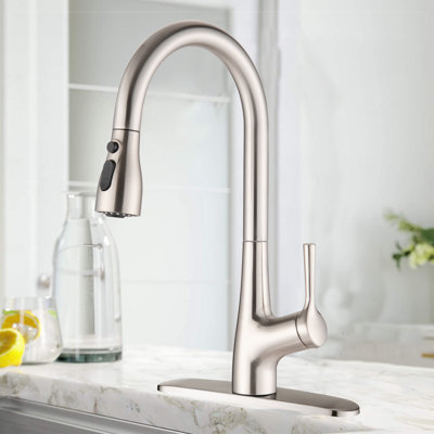 ESHOO Pull Out Kitchen Faucet