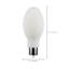 40 Watt White LED Bulb