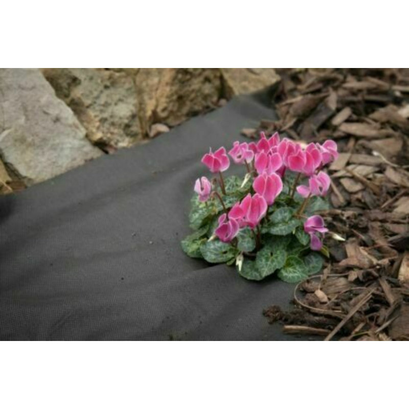 Fallinerlea Flooring or Base, 0.1cm H x 100cm W x 200cm D