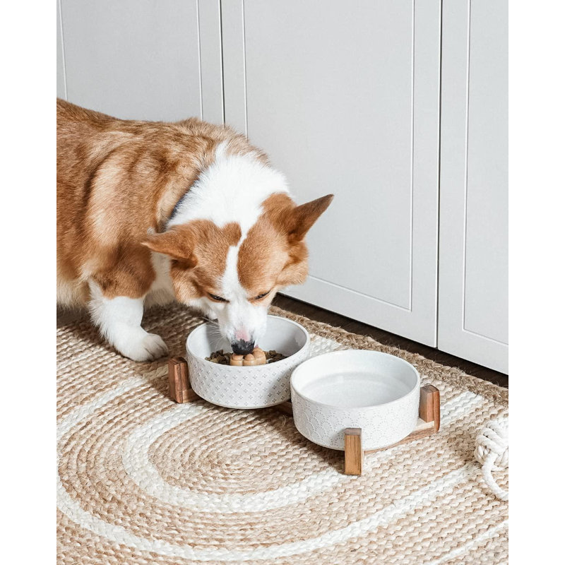 Ceramic Dog Bowls with Acacia Wood Stand for Small to Medium Pets