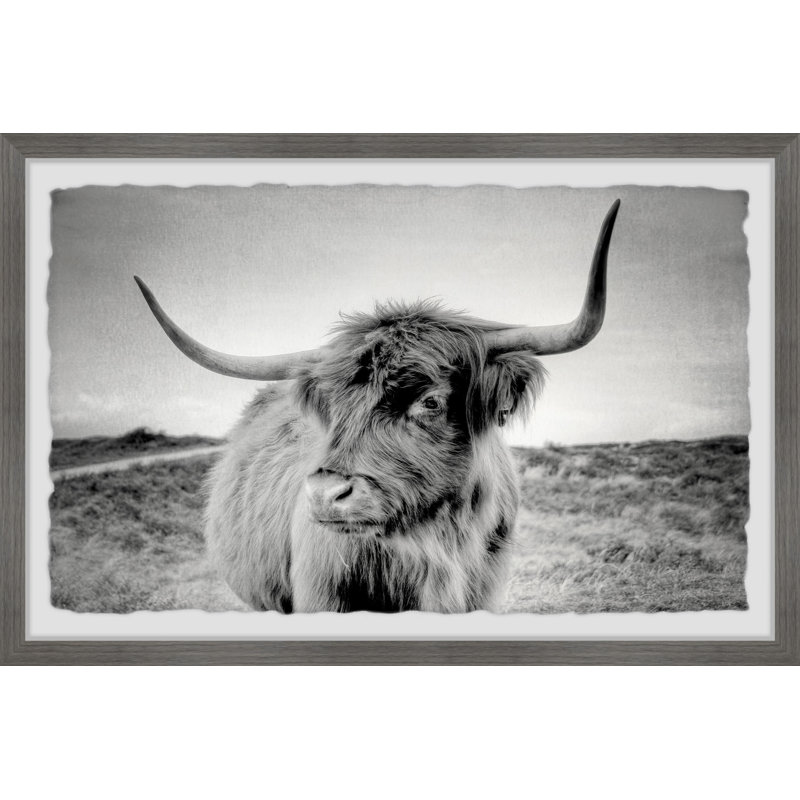 Away From Herd - Single Picture Frame Print, 20cm H x 30cm W x 3.81cm D