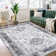Vintage Floral Distressed Printed Area Rug Machine Washable Non Slip Stain Resistant Bodered Low Pile Ultra Thin Pet Friendly Vacuum Clean Easy To Clean Floor Carpet for Living Room