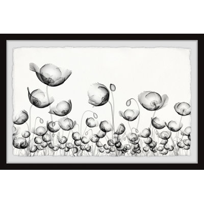 Poppy Fields - Single Picture Frame Painting