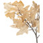 Dried Flower Bunch-119034009-119034008