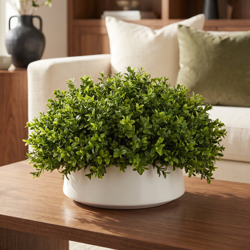 Faux Boxwood Plant in Ceramic Pot, 13"H x 21"W x 21"W