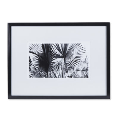 Black And White Palm Leaves A Print