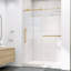 Porte de douche coulissante simple sans cadre 50 po - l 54 po x H 75 po H