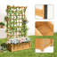 Planter Box-1607557135
