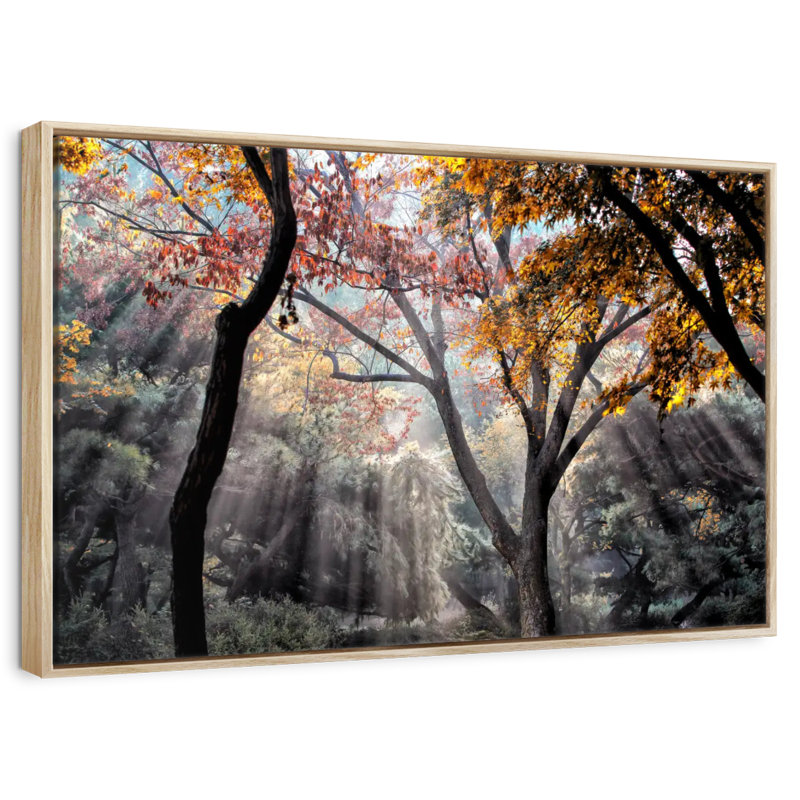 Rayons de soleil de la forêt, Cadre flottant en bois naturel, 43 po x 29 po