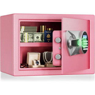 Biometric Safe 1.0 Cub Digital Home Security Safe with LCD Display Dual Alarm System Mute Mode Quick Access Fingerprint Recognition Lock Box for Money Jewelry