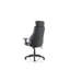 Executive Chair with Headrest