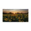 Cattima «Sunset on a Sunflower Field», reproduction de photo sur toile tendue-30316465