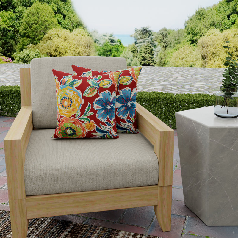 18" x 18" Outdoor Throw Pillow, Colsen Berry
