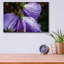«Purple Rain» par Pamela Plummer-936616352