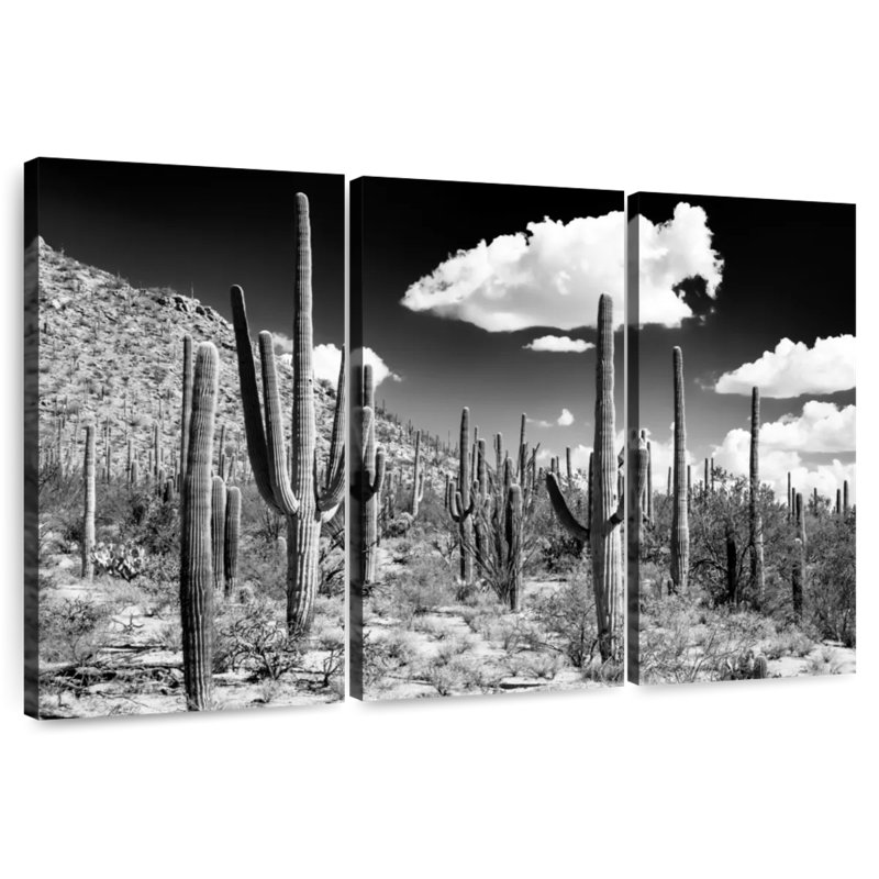 Harnek Black Arizona - Cactus Forest, 36" H x 57" W