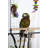 Heyward Parrot Playstand-714186314