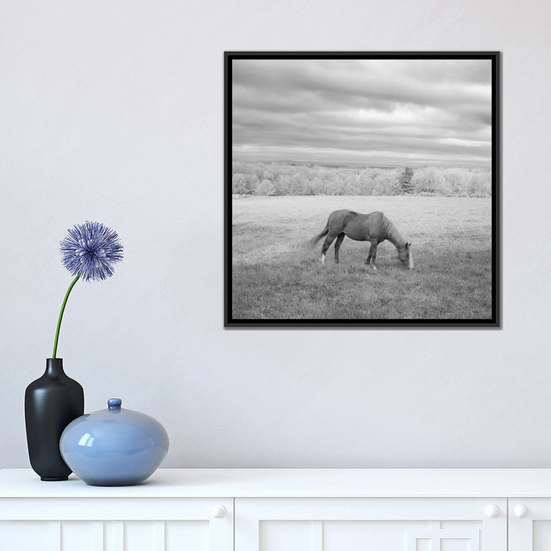 « solitaire », photographie sur toile, H 18 po x l 18 po x P 1,5 po, Toile encadrée noire, Pas de tapis
