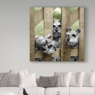 Vilho 'Schnauzers' Photographic Print on Wrapped Canvas