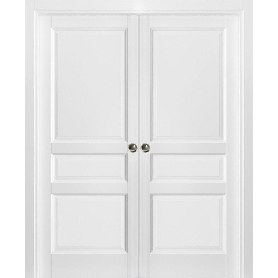 Lucia Paneled Wood Sliding Closet White Doors SARTODOORS 