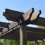 Randi Manufactured Wood Pergola-38360322-38401064