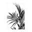 Art sur toile, noir et blanc 01-105646964
