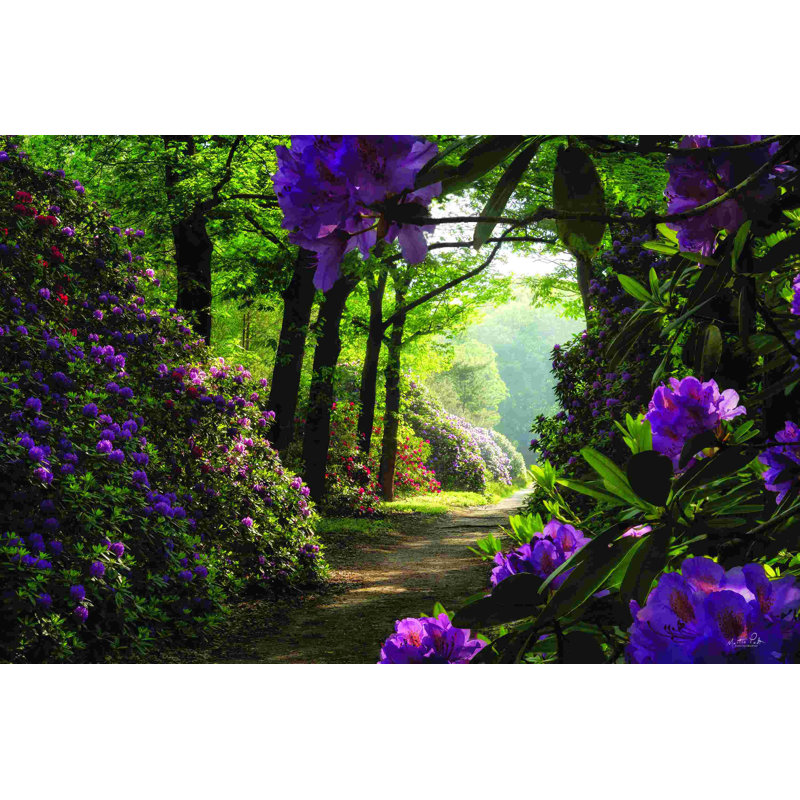 " Rhododendron Lane ", 12" H x 18" W, Yes, Gold Single Picture Framed