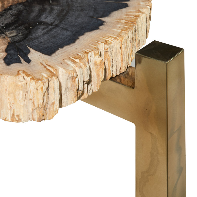 Table basse en bois pétrifié brun fait à la main avec base dorée