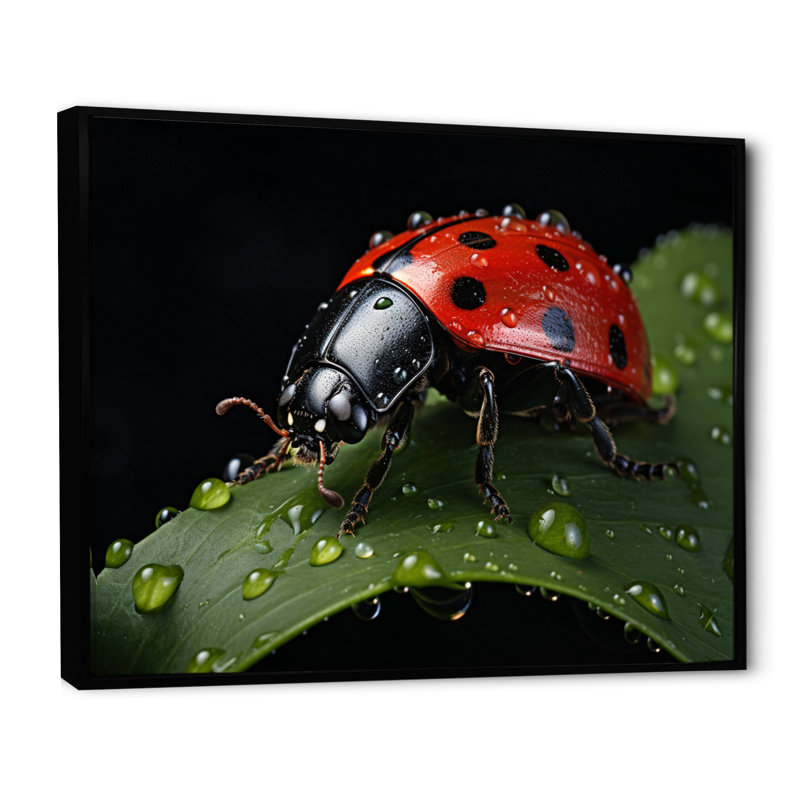 Red Ladybug Portrait I - Animals Wall Art Living Room, H 34 po x l 44 po x P 1,5 po, Cadre flottant noir
