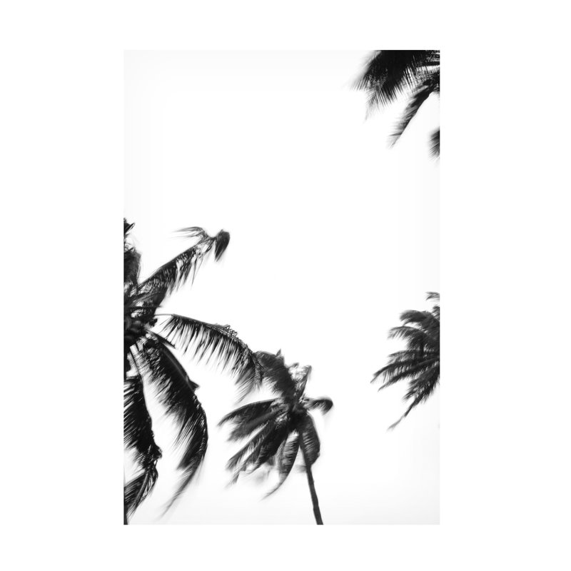 Coco Island No4 sur toile par Clint, H 32 po x l 22 po x P 2 po