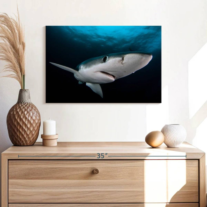 Brampt Underwater Blue Shark, 24" H x 36" W