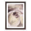 Pale Pink Rose - Framed Print-55578192-55578193