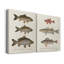 Espèces de poisson antique I, toile tendue avec châssis de qualité supérieure - prête à être accrochée-1468215252