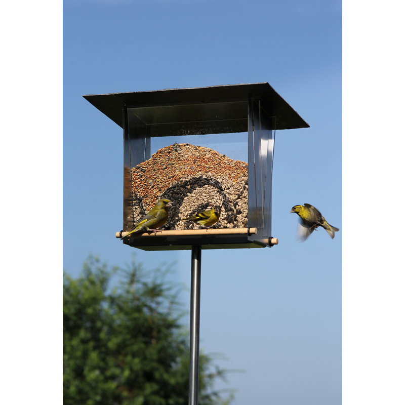 Normanhurst Freistehend Vogelfutterstation