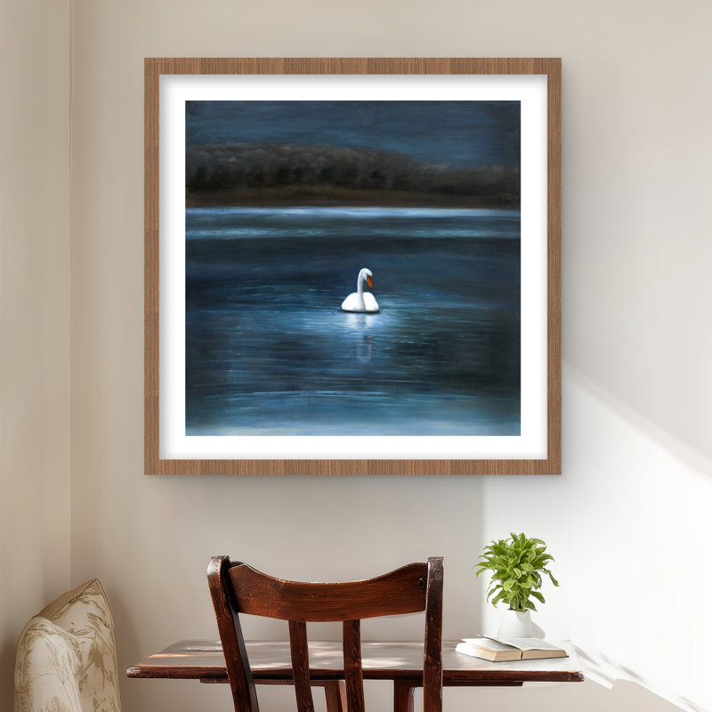 Magnifique cygne - paysages, encadrement blanc