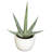 Southwest Collection Silk Agave Plant Set